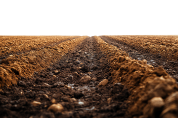 Close-up of freshly plowed agricultural soil, showcasing rich brown texture and furrows under natural light.
