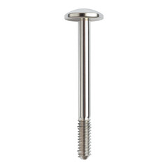 Silver Metal Bolt with Round Head and Threaded Shaft