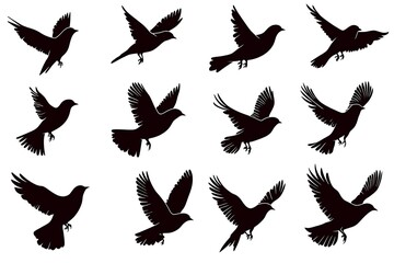 Obraz premium Flying Birds Silhouettes Set.