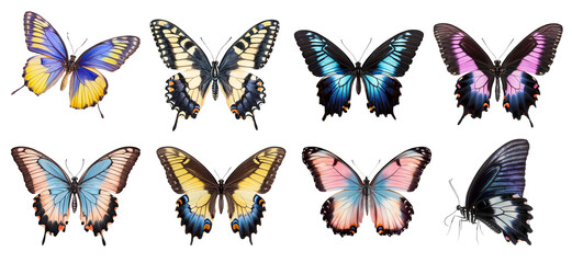 Obraz premium Butterfly PNG cut out collection with colorful wings for nature design use