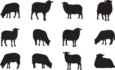 Set of Sheep Silhouette