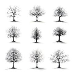 Obraz premium Bare Trees Collection