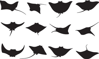 Stingray Silhouettes