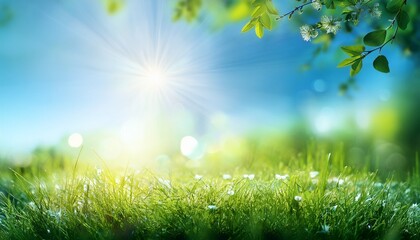 Obraz premium light green blue spring background with sun shine and blurry li