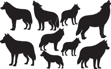 Wolf Silhouette on White Background
