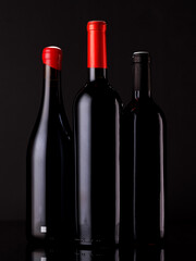 Elegant presentation of red wine bottles against a dark background