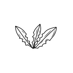 line sketch of dandelion leaves