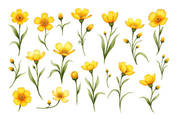 bouquet of yellow tulips