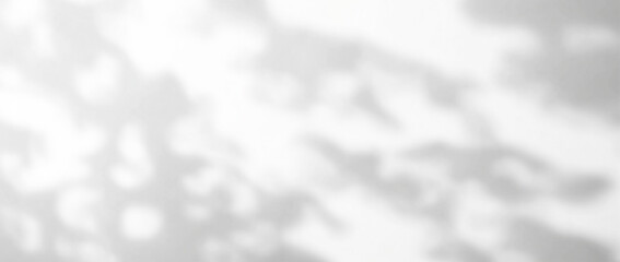 Overlay effects of realistic branches and leaves shadows isolated on transparent background