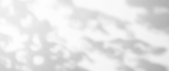 Overlay effects of realistic branches and leaves shadows isolated on transparent background