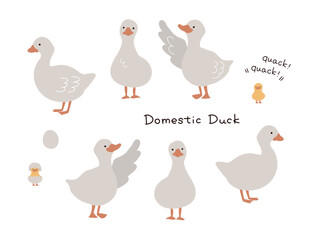 白背景で手描きのアヒルのイラストセット