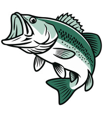 Fototapeta premium Bass Fish Clipart