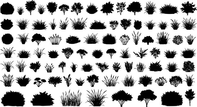 set of bush grass shrub herb silhouette vector transparent background 