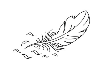 Single Line Art Feather Design, Delicate, Falling, Light, Airy
