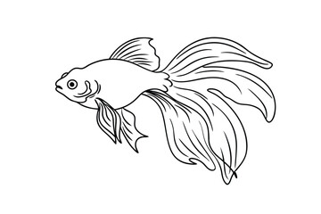 Elegant Line Drawing of a Graceful Betta Fish