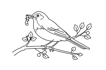 Line drawing of a bird on a branch with insects