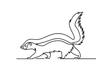 Striped Skunk Line Art Wildlife, Nature, Animal, Drawing, SingleLine Illustration