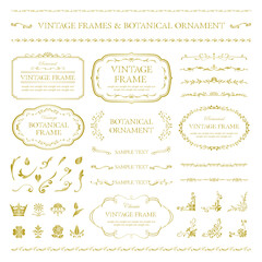 gold vintage frames & botanical ornament set