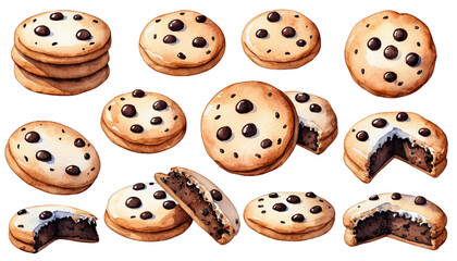 Obraz premium Collection of Delicious Chocolate Chip Cookies on White Background