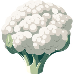 realistic cauliflower vegetable in color block style with clear background editable cartoon vector illustration