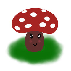 fly agaric mushroom