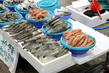 수산시장에서 가판대에 진열된 새우들