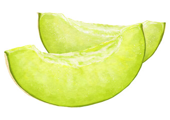 カットされた緑色のメロン2切れ(青肉)のイラスト素材