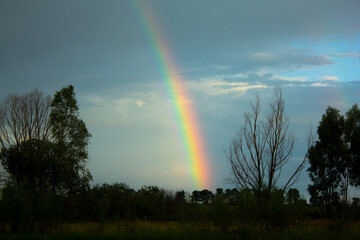 The rainbow is a beautiful natural phenomenon.