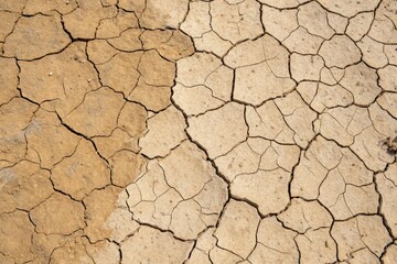 Seamless cracked earth texture; dry soil, aged paint, grunge; abstract wallpaper backdrop.