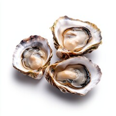 Naklejka premium Three fresh oysters in their shells, showcasing natural textures and sheen.