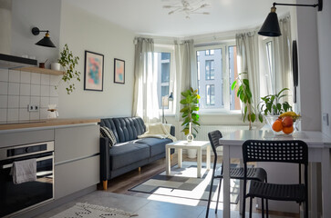 Scandinavian interior style modern studio small apartment in white and grey colors, furniture in living area and kitchen area