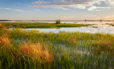 Sunrise on the shoreline of Coongie lake, South Australia 