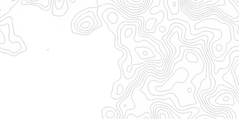 White abstract grid curve line Topo contour map background, Topographic contour lines. Seamless pattern with lines Topographic map. Geographic mountain relief diagram line wave carve design.