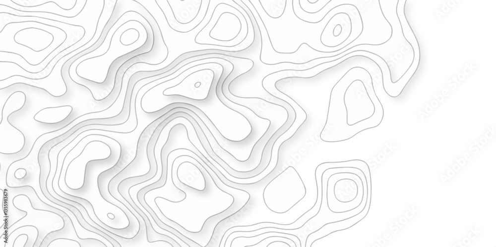 Poster white abstract grid curve line topo contour map background, topographic contour lines. seamless patt