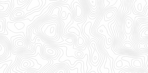 White Topo contour map on white background, Topographic contour lines. Seamless pattern with lines Topographic map. Geographic mountain relief diagram line wave carve design.
