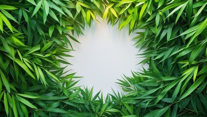 bamboo leaves against a white background
