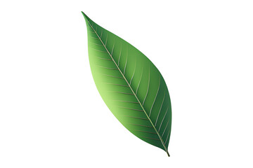 green leaf, simple shape, white background, isolated, no background