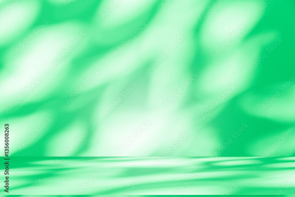 Poster Wall interior background, studio and backdrops show products. with leaf shadow from window color green and white. background for text insertion and presentation of product	