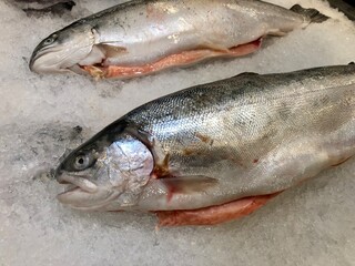 rainbow trout carcass on ice in a shop window