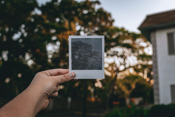 polaroid of light in park