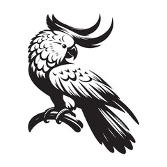 eagle vector illustration
