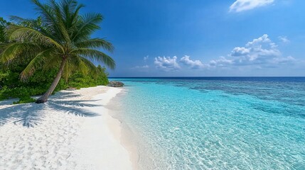 Naklejka premium Idyllic tropical beach scene with palm tree, white sand, and turquoise ocean water under a bright sunny sky.