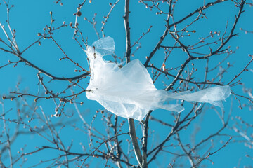 White plastic bag stuck on a tree