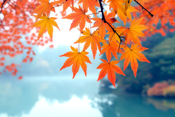Vibrant autumn leaves in a beautiful nature with river background capturing the beauty of the changing seasons and a sense of calm