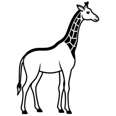 Obraz premium Giraffe silhouette vector black outline, white background