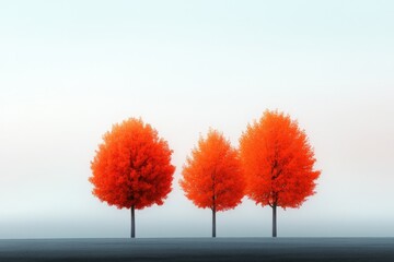 Autumn trees on horizon