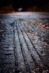 Fresh Tire Tracks on a Rough Dirt Road Surface
