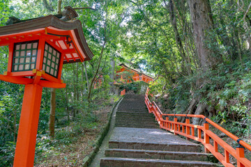 宇佐神宮の参道の風景（宇佐市）