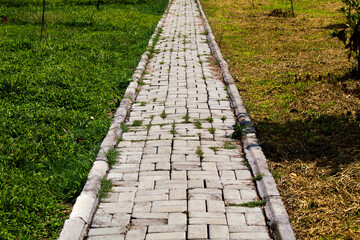 A narrow concrete walkway with interlocking pavers, partially overgrown with grass, surrounded by...