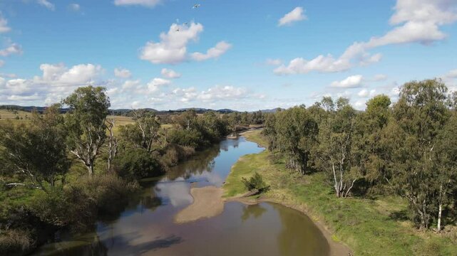 Aerial View of Birds Soaring Towards Drone Over a Scenic Creek